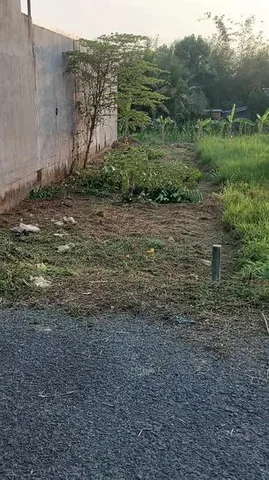 Bất động sản tại Vĩnh Long - ảnh 1