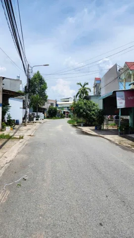 Bất động sản tại Bình Dương - ảnh 1