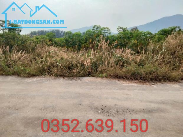 Bất động sản tại Bà Rịa - Vũng Tàu - ảnh 1