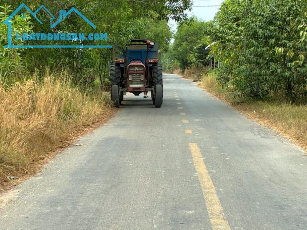 Bất động sản tại Long An - ảnh 1