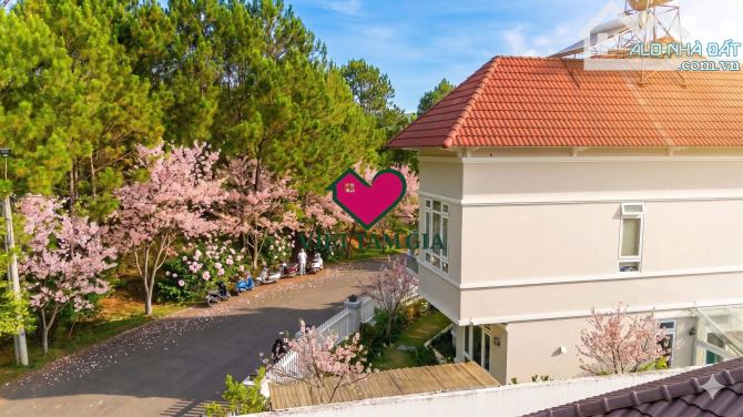 Bất động sản tại Lâm Đồng - ảnh 1