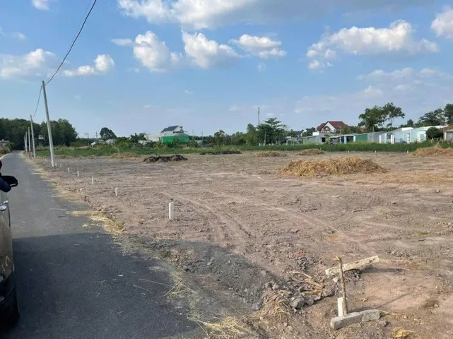 Bất động sản tại Bình Dương - ảnh 1