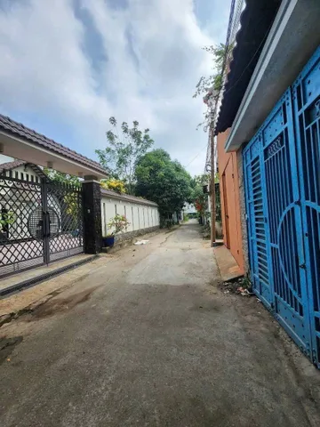 Bất động sản tại Bình Dương - ảnh 1