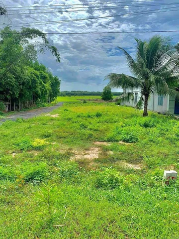 Bất động sản tại Lâm Đồng - ảnh 1