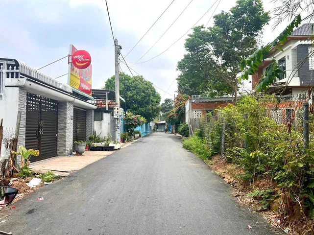 Bất động sản tại Bình Dương - ảnh 1