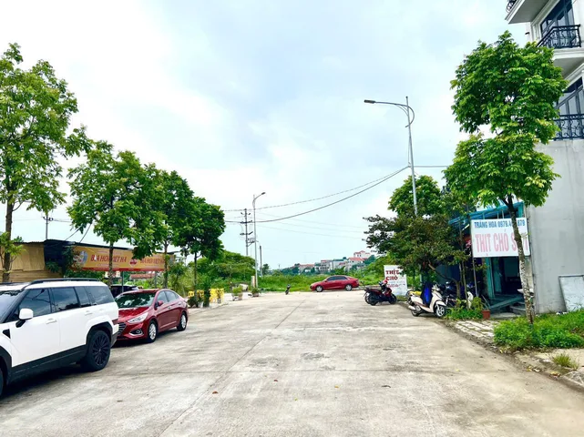 Bất động sản tại Phú Thọ - ảnh 1