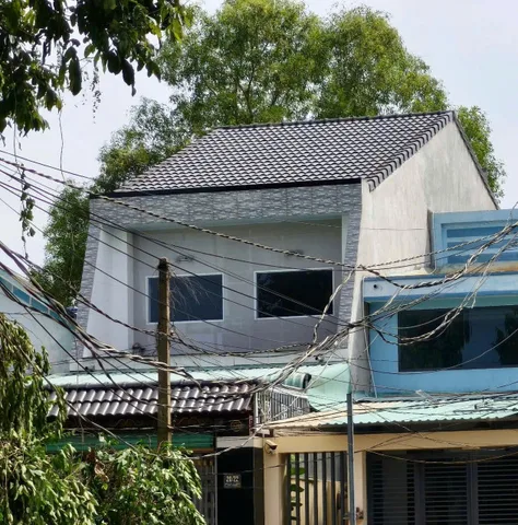Bất động sản tại Bình Dương - ảnh 1