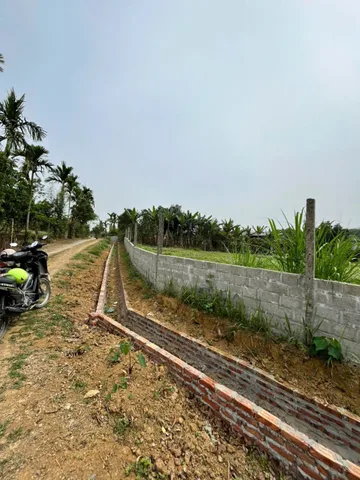Bất động sản tại Phú Thọ - ảnh 1