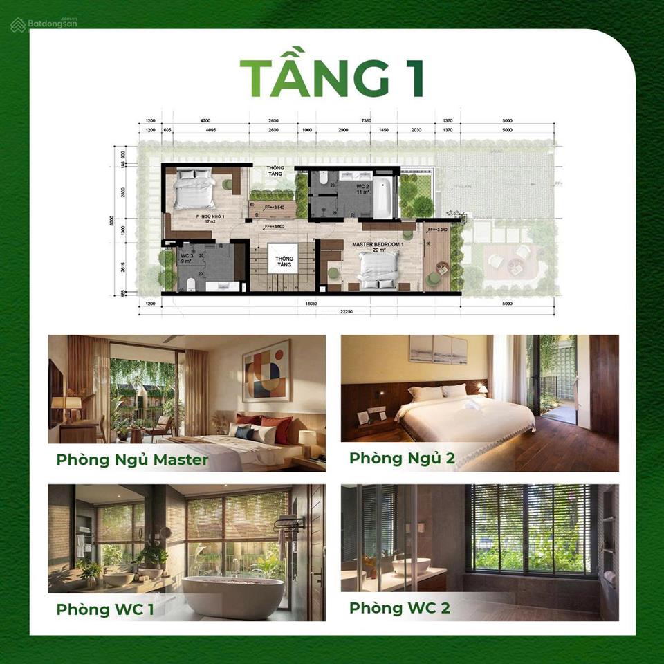 Bất động sản tại Quảng Nam - ảnh 1