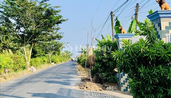 Bất động sản tại Long An - ảnh 1