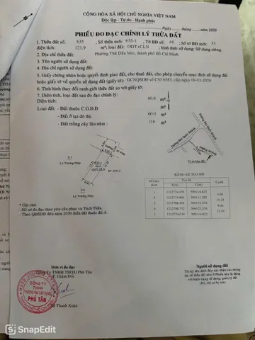 Bất động sản tại Bình Dương - ảnh 1