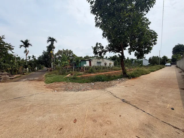 Bất động sản tại Đắk Lắk - ảnh 1