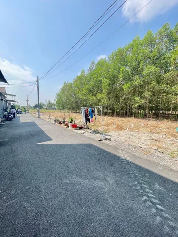 Bất động sản tại Đồng Nai - ảnh 1