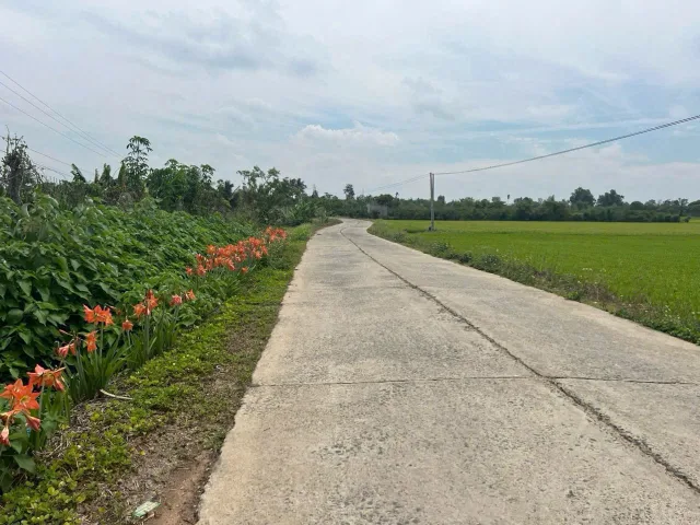 Bất động sản tại Đắk Lắk - ảnh 1