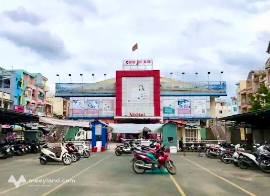 Bất động sản tại Bình Dương - ảnh 1