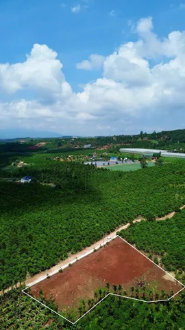 Bất động sản tại Lâm Đồng - ảnh 1
