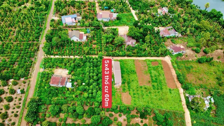 Bất động sản tại Đắk Lắk - ảnh 1