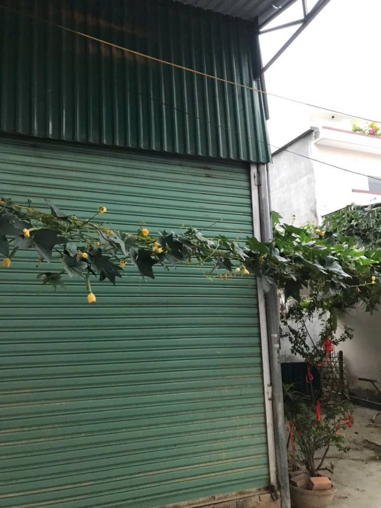 Bất động sản tại Khánh Hòa - ảnh 1