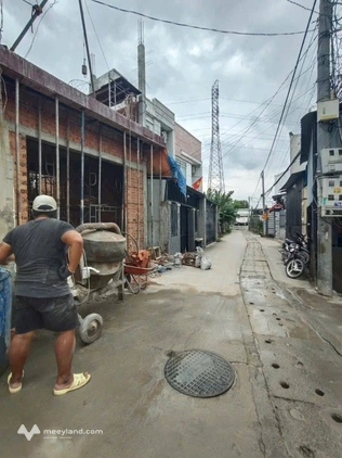 Bất động sản tại Bình Dương - ảnh 1