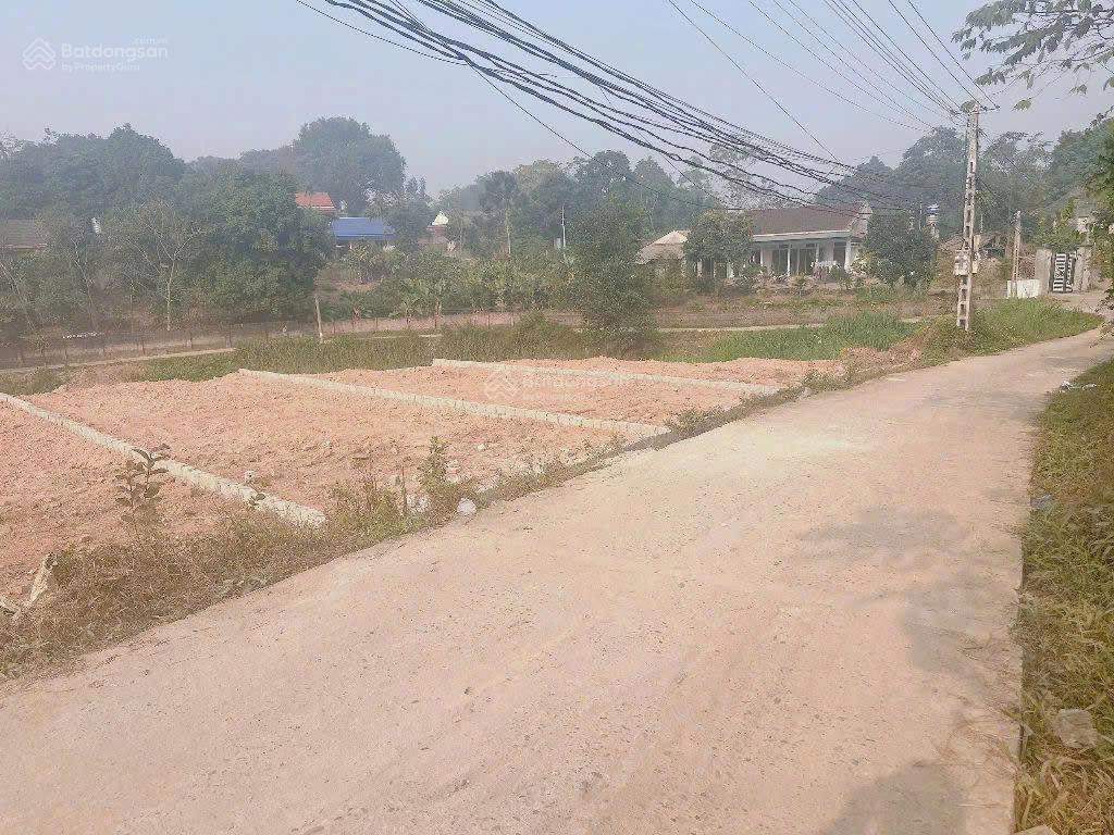 Bất động sản tại Phú Thọ - ảnh 1