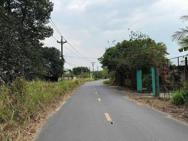 Bất động sản tại Đồng Nai - ảnh 1