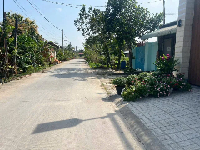 Bất động sản tại Long An - ảnh 1