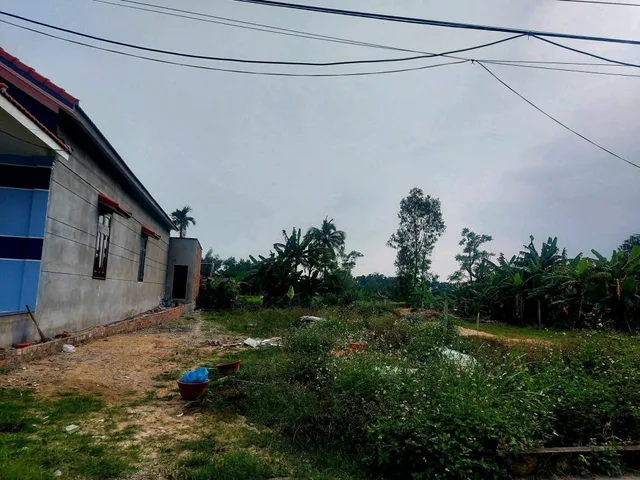Bất động sản tại Đà Nẵng - ảnh 1