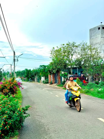 Bất động sản tại Bình Dương - ảnh 1