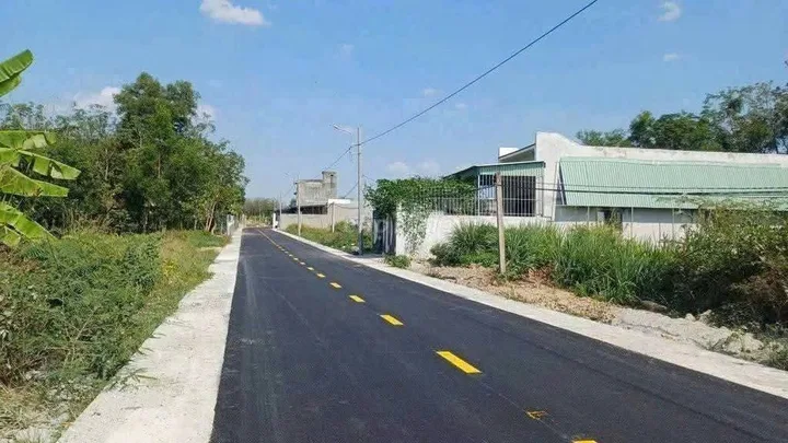 Bất động sản tại Bình Dương - ảnh 1