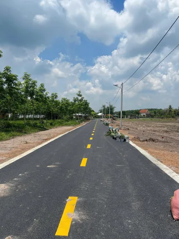 Bất động sản tại Bình Dương - ảnh 1