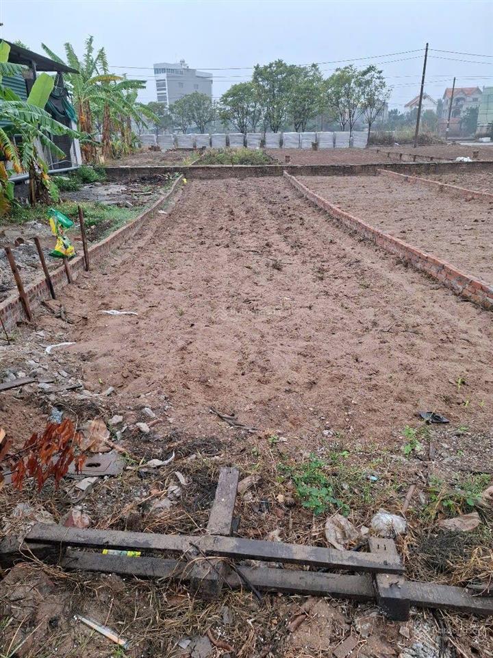 Bất động sản tại Bắc Ninh - ảnh 1