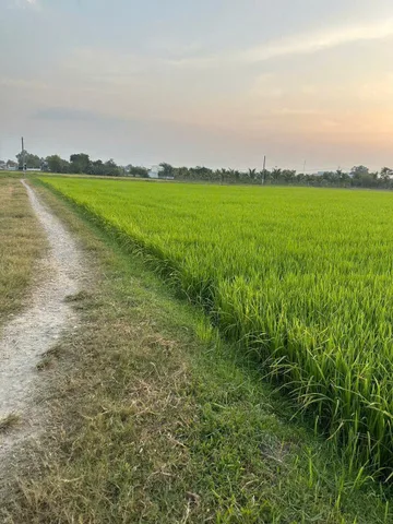 Bất động sản tại Tây Ninh - ảnh 1