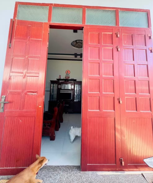 Bất động sản tại Gia Lai - ảnh 1