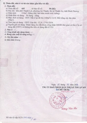 Bất động sản tại Bình Dương - ảnh 1