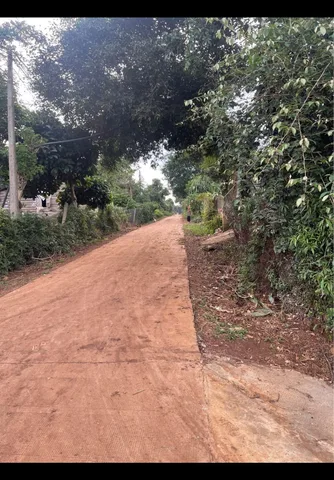 Bất động sản tại Đắk Lắk - ảnh 1