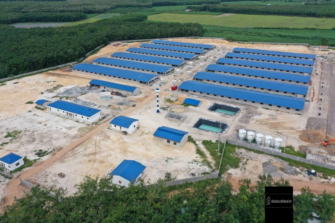 Bất động sản tại Tây Ninh - ảnh 1