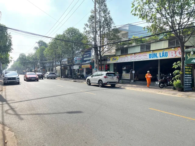 Bất động sản tại Đồng Nai - ảnh 1