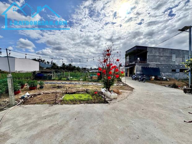 Bất động sản tại Khánh Hòa - ảnh 1