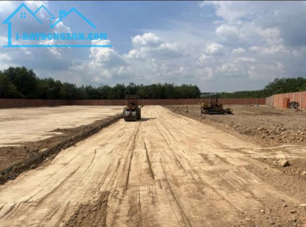 Bất động sản tại Bình Dương - ảnh 1