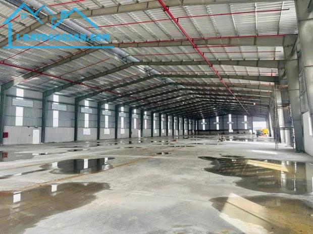 Bất động sản tại Long An - ảnh 1