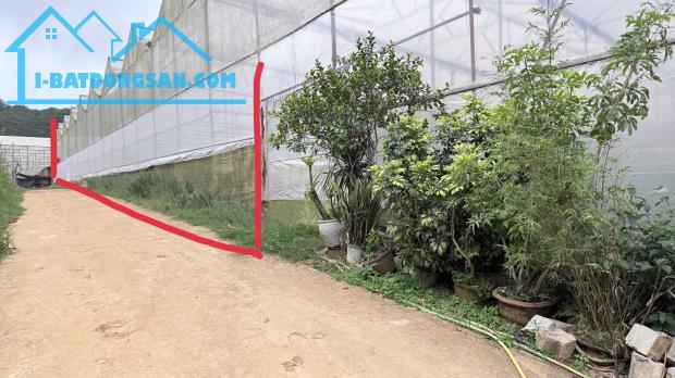 Bất động sản tại Lâm Đồng - ảnh 1