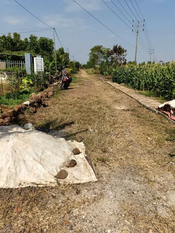 Bất động sản tại Đắk Lắk - ảnh 1