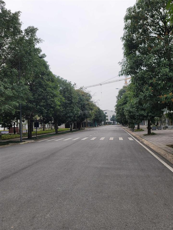 Bất động sản tại Hưng Yên - ảnh 1