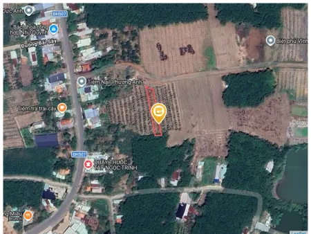 Bất động sản tại Bình Dương - ảnh 1