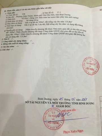 Bất động sản tại Bình Dương - ảnh 1