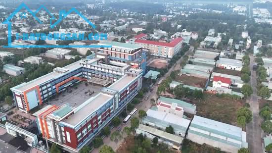 Bất động sản tại Bình Dương - ảnh 1
