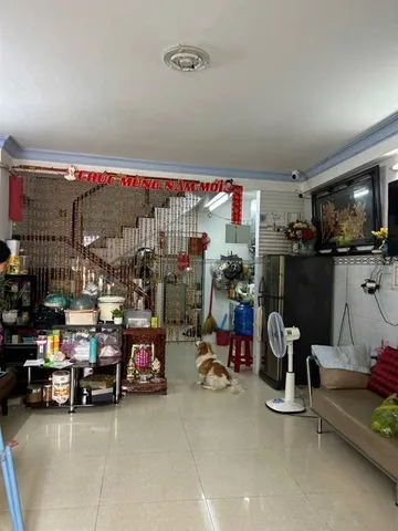 Bất động sản tại TP. Hồ Chí Minh - ảnh 1