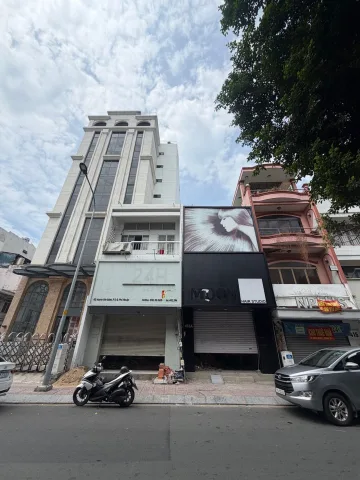 Bất động sản tại TP. Hồ Chí Minh - ảnh 1
