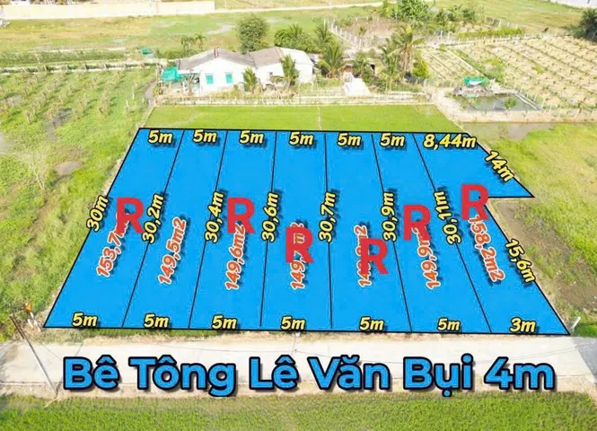 Bất động sản tại Long An - ảnh 1