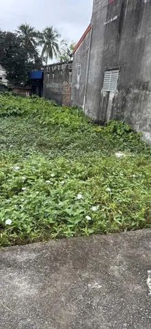 Bất động sản tại Hải Phòng - ảnh 1